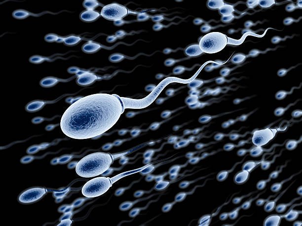 Sperm Tahlili (Semen Analizi) Nedir?