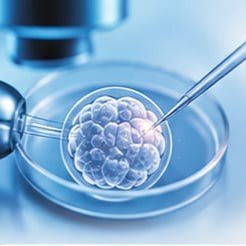 Tüp Bebek Tedavisinde Genetik Testler: Kimlere Önerilir ve Ne Kadar Güvenilirdir?